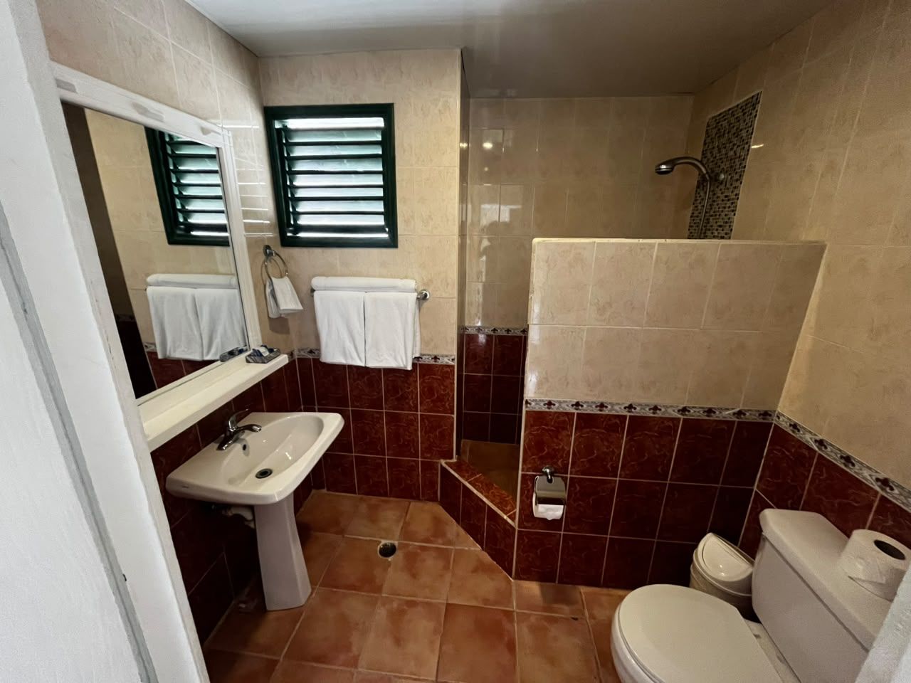 Un bany amb un lavabo, vàter i dutxa.