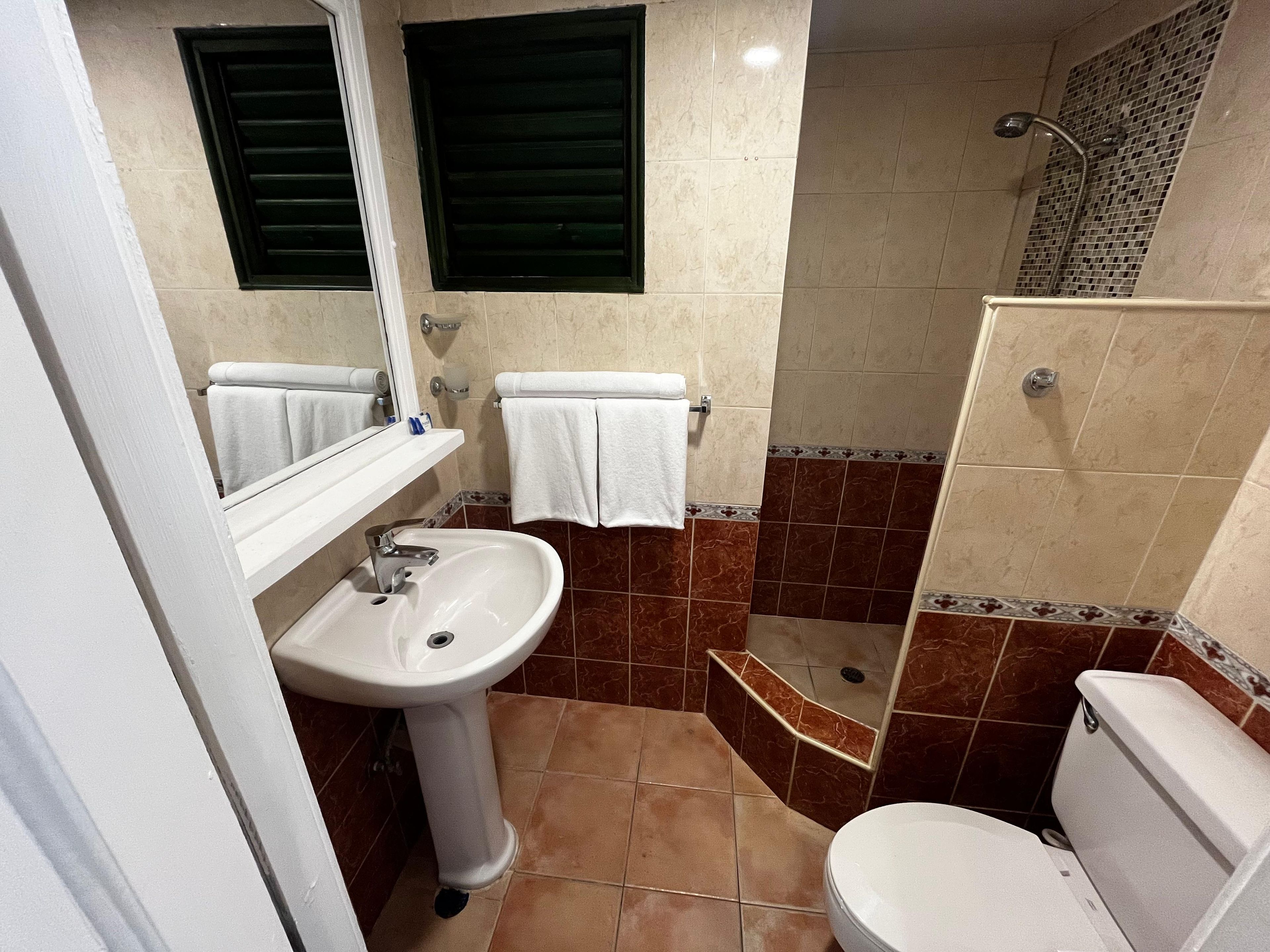 A bathroom with a white sink, a toilet, and a shower area.