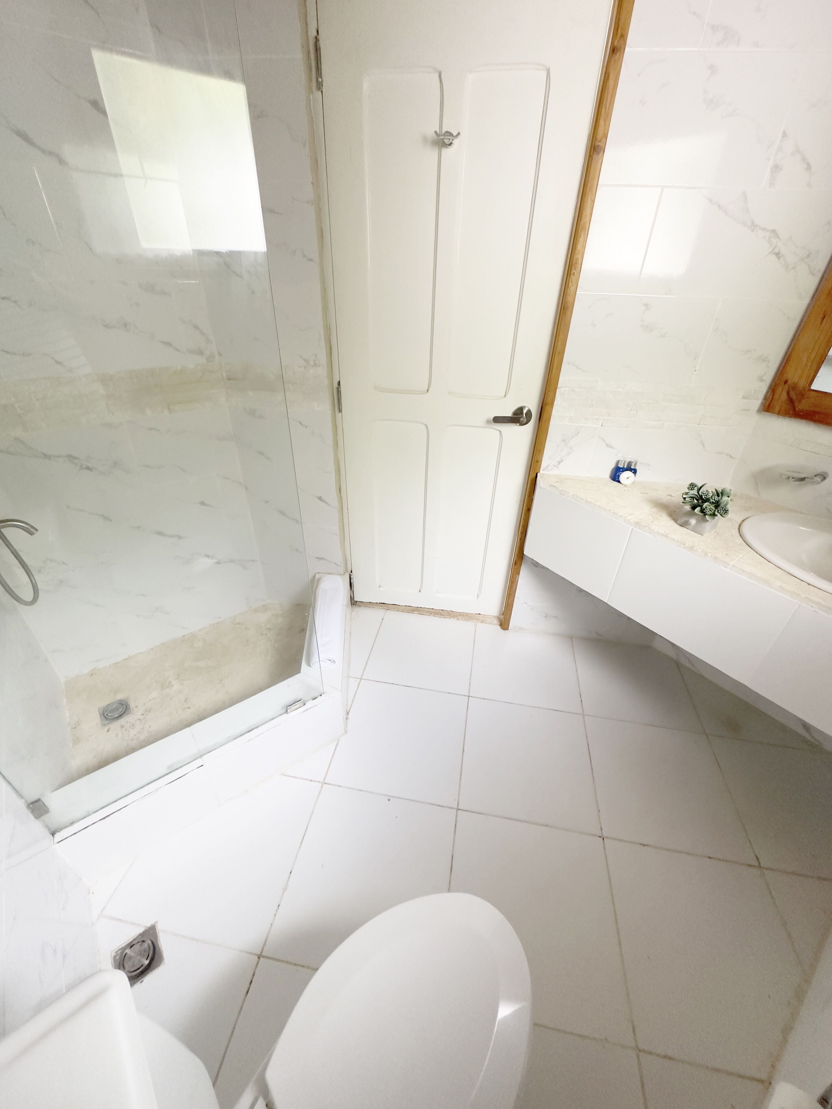 Un bany amb vàter blanc, dutxa amb porta de vidre i un lavabo amb mirall a sobre.