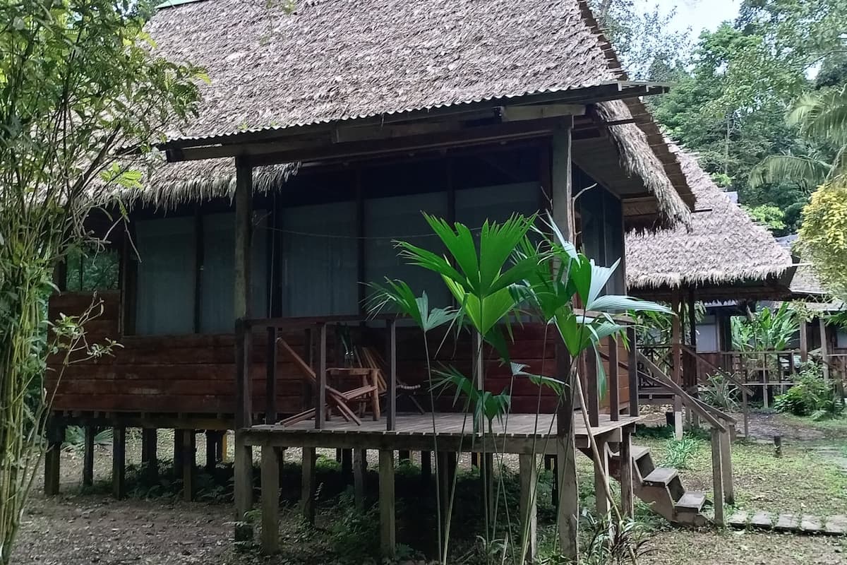 Uma cabana de madeira com telhado de palha, rodeada por vegetação exuberante e um caminho de pedra.