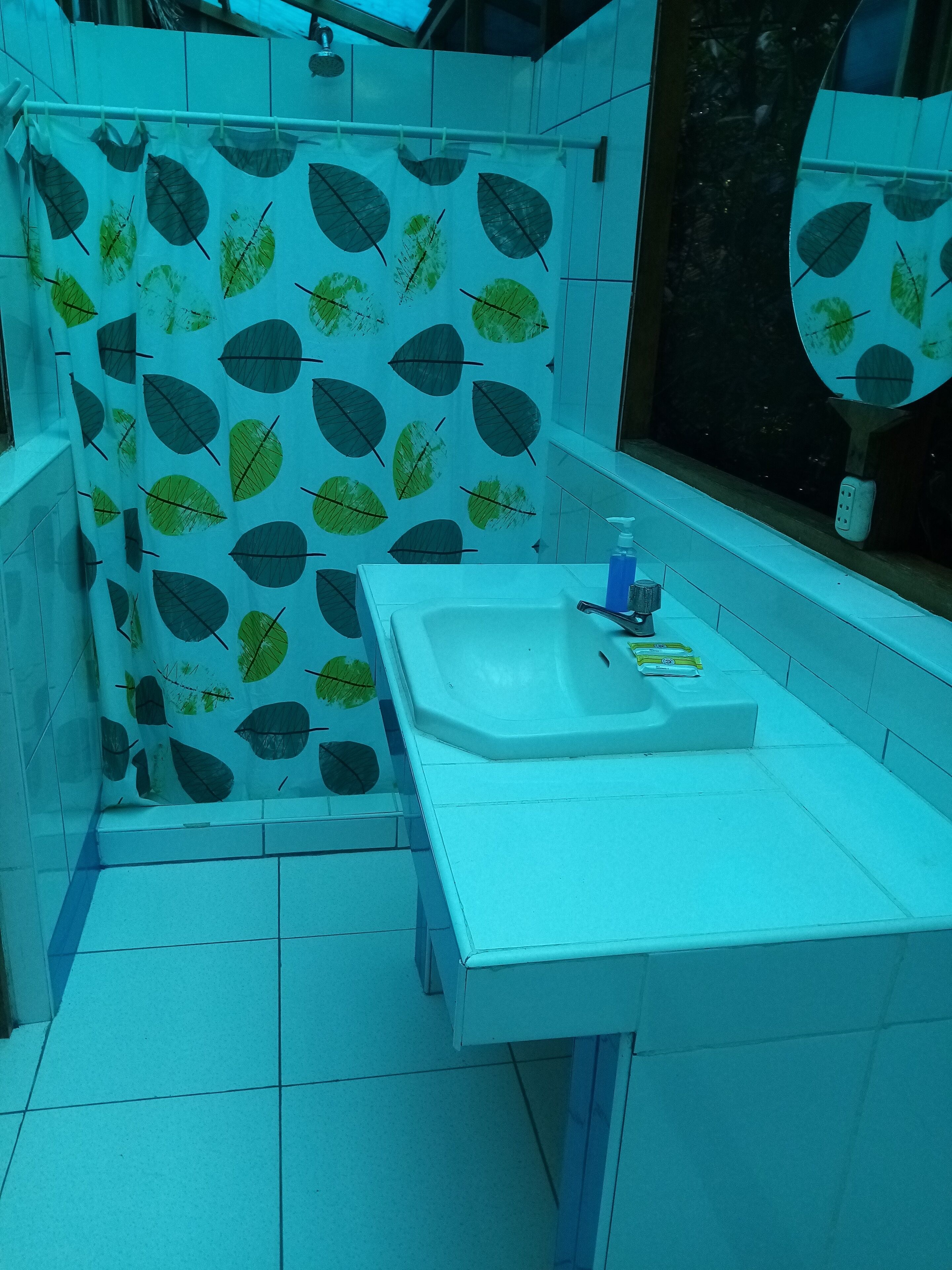 A bathroom with a sink, mirror, and a shower curtain with a leaf pattern.