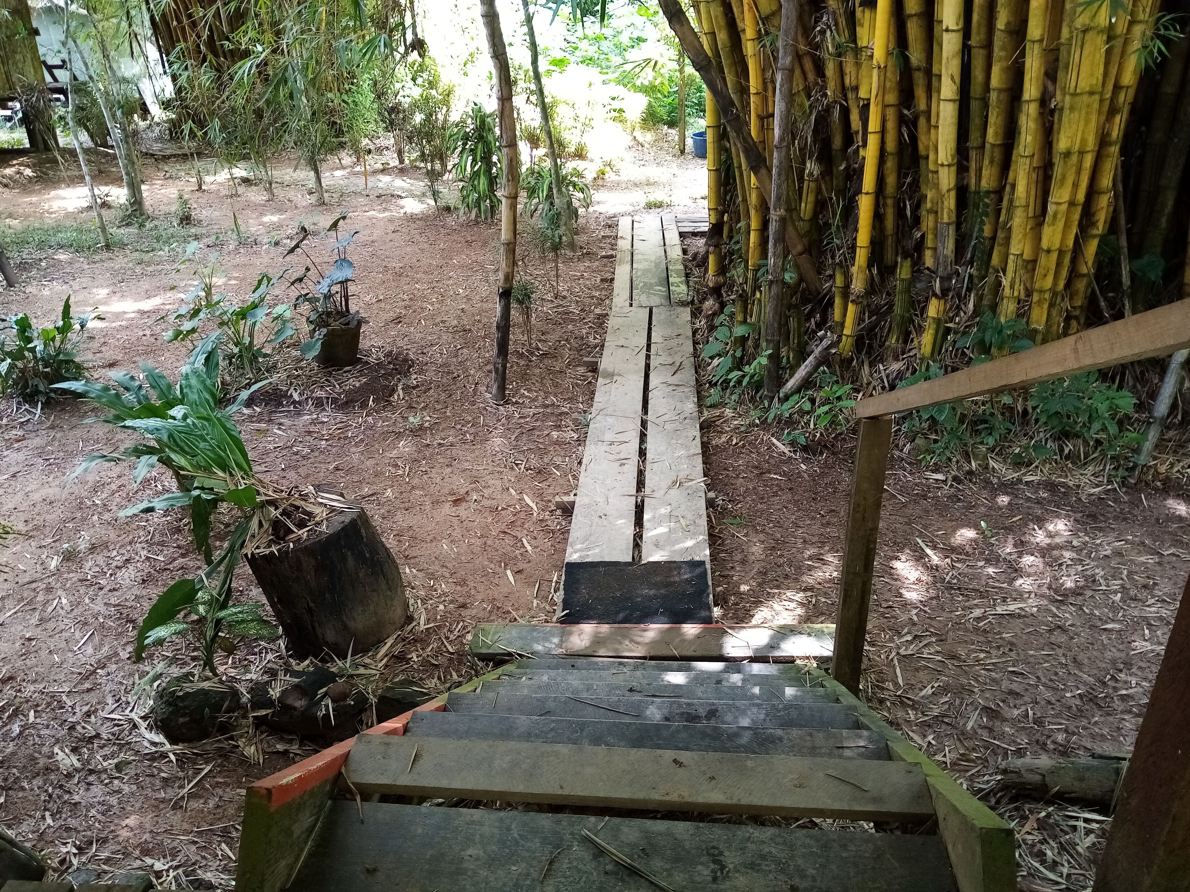 Un escalier en bois menant à une structure en bambou, le tout situé dans un jardin.