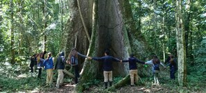 Un grupo de personas tomadas de las manos alrededor de un árbol grande en un bosque.