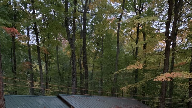 Une cabane avec un toit végétalisé, un petit porche et une fenêtre.