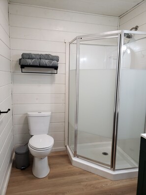 Ducha, toallas, jabón, papel higiénico