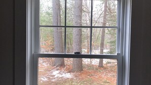 A window with a view of a forested area.