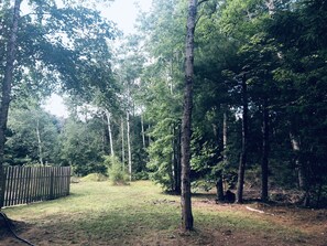 A forested area with a wooden fence and a dirt path.