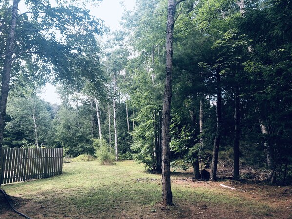 A forested area with a wooden fence and a dirt path.