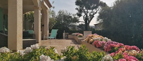 Parco della struttura