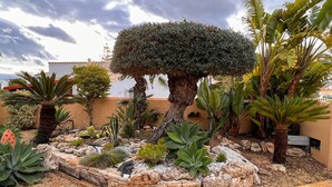 A landscaped garden with a variety of plants and a stone wall. - High Quality Villa, 39 Five STAR REVIEWS, Beach 5 min drive, Heated Pool. (Calpe)