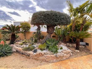 Jardines del alojamiento