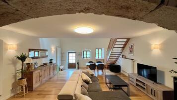 Smart TV, fireplace, DVD player, stereo