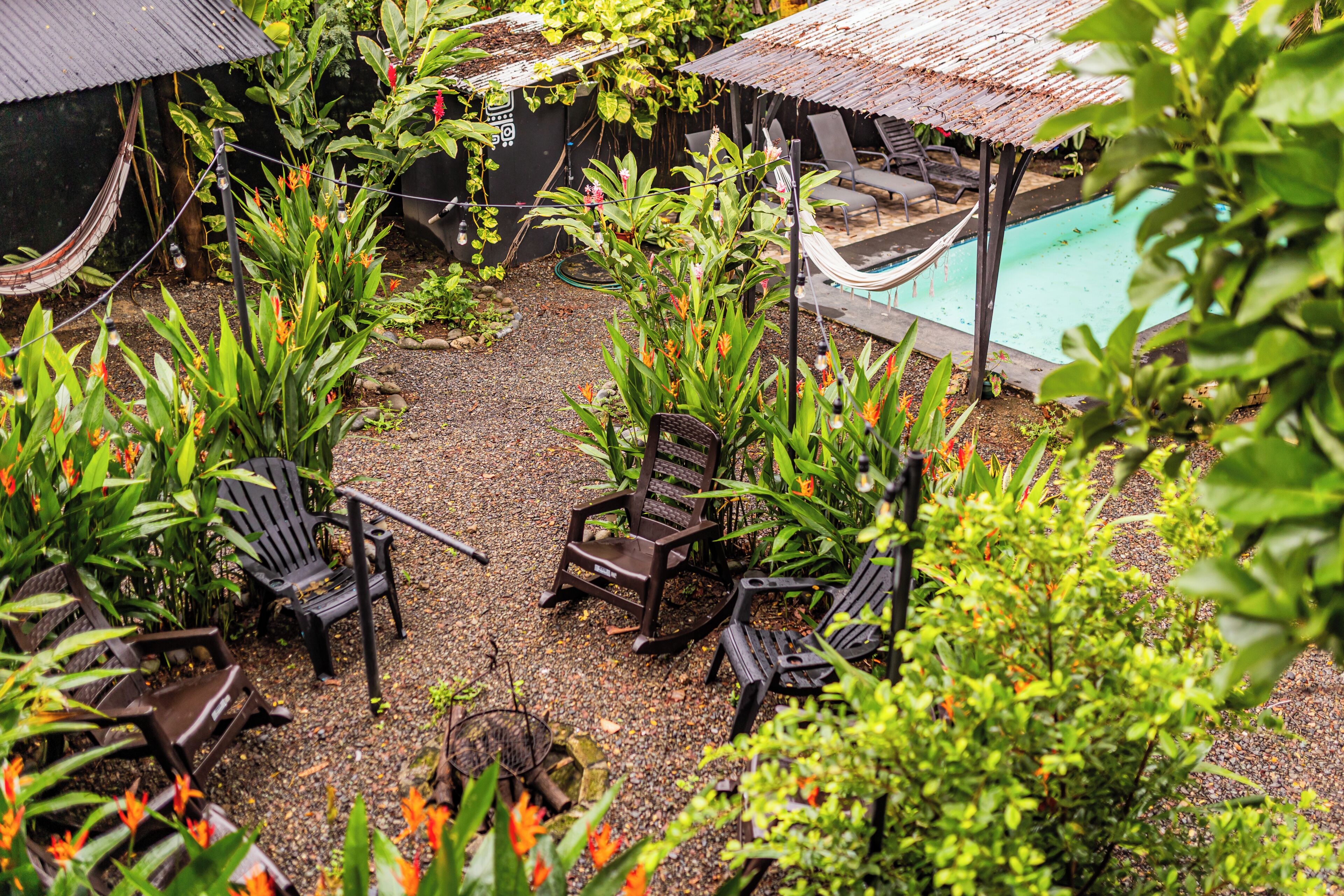 A poolside area with lounge chairs, a hammock, and lush greenery.
