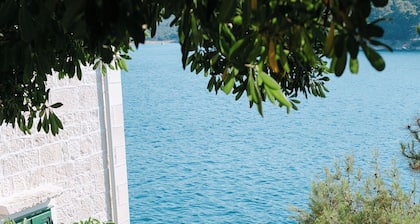 Maison d'architecte avec grandes terrasses ombragées en front de mer.