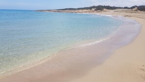 Lettini da mare