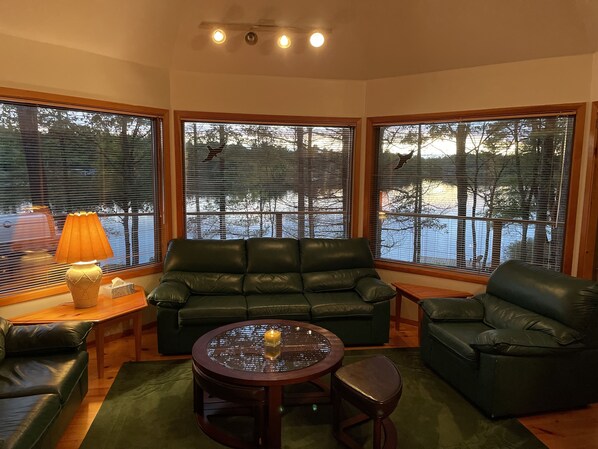 Smart TV, fireplace, DVD player, books