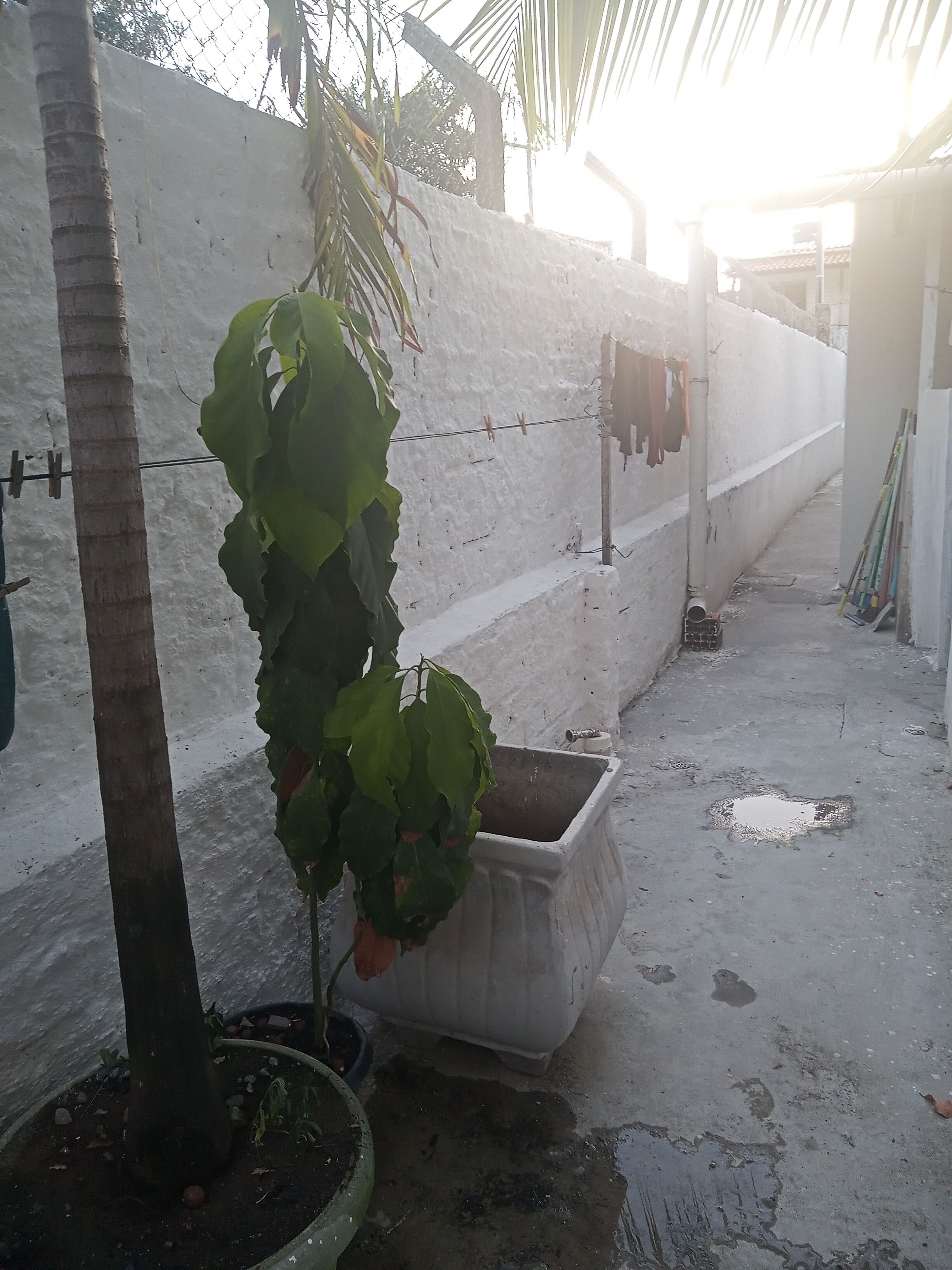 Área da propriedade