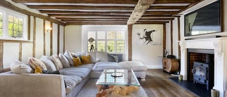 Smart TV, fireplace, video games, books