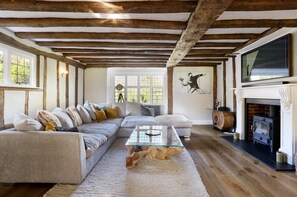 Smart TV, chimenea, videojuegos, libros