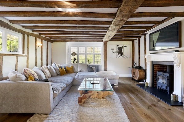 Smart TV, fireplace, video games, books