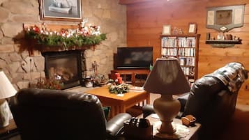 TV connectée, cheminée, lecteur de DVD, livres