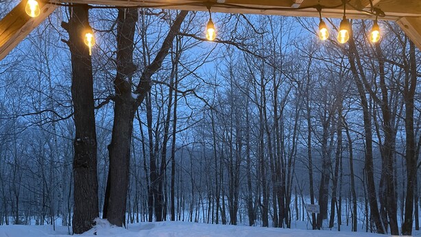 A snowy forest with bare trees and a snow-covered ground. - Ski in/out Condo Modern Mountain Top at Snowriver Resort (Wakefield)