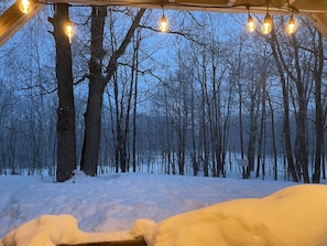 A snowy forest with bare trees and a snow-covered ground.