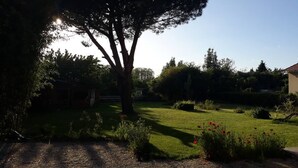 Un jardin bien entretenu, avec un grand arbre, une pelouse et un chemin de gravier.