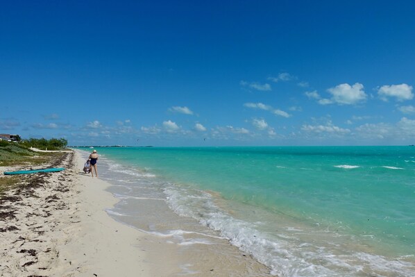 Beach nearby, sun-loungers, beach towels