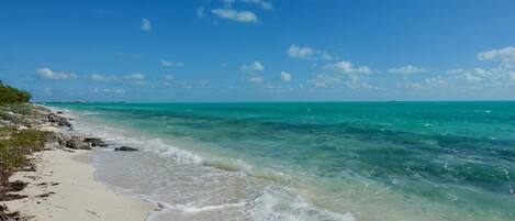 بالقرب من الشاطئ، كراسي للتشمس، مناشف للشاطئ