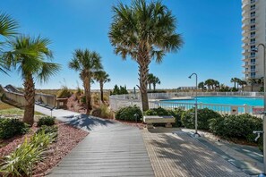 Un área de piscina con una piscina azul cristalina, rodeada de palmeras y un pasillo de madera.