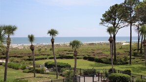 Un jardin aménagé avec des palmiers et une vue sur la plage.