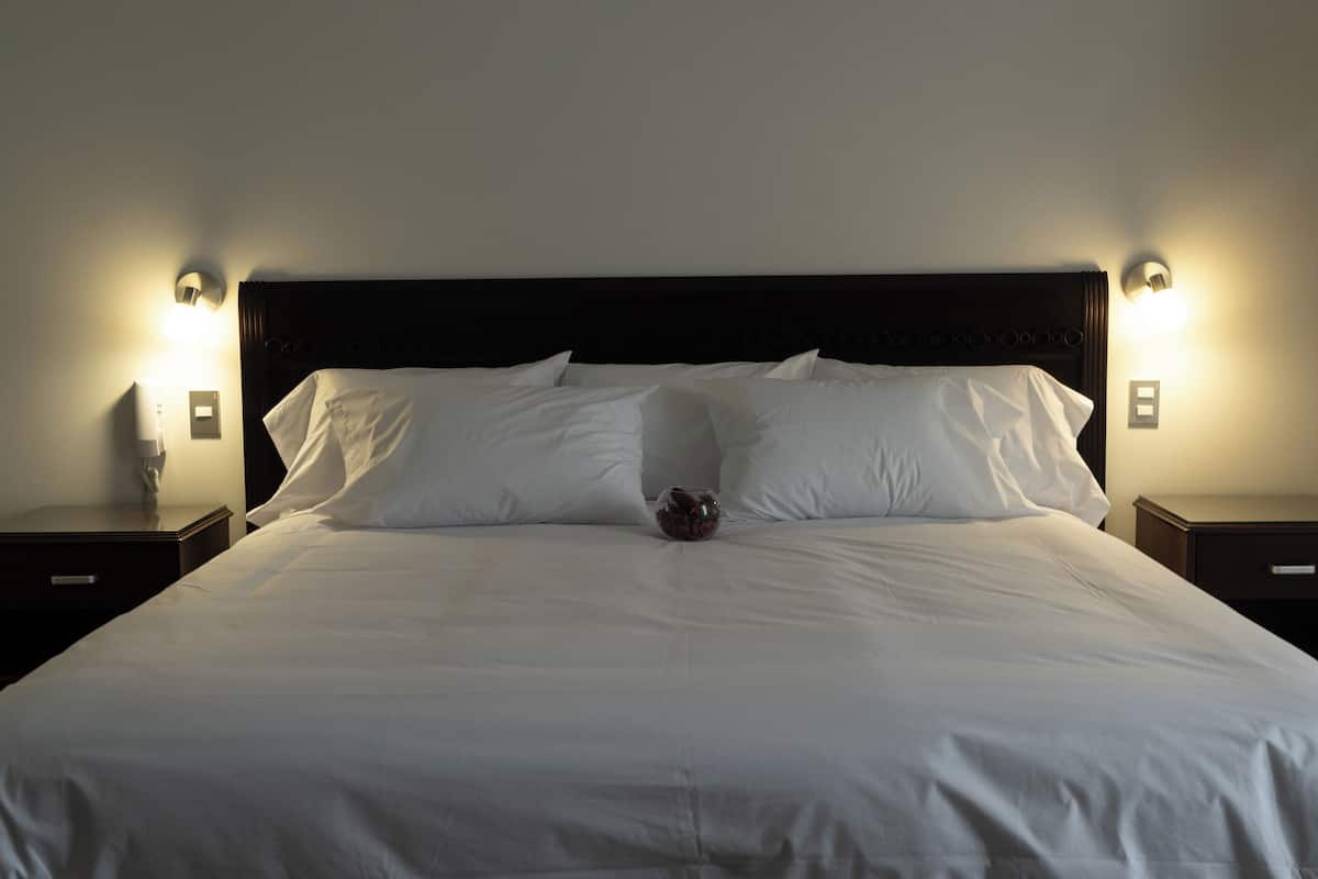 Premium bedding, down duvets, pillow-top beds, minibar