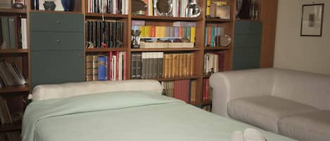 Deluxe Double Room Single Use | Desk, soundproofing, free WiFi