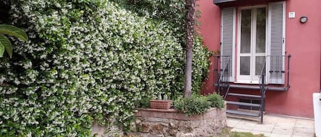 Habitació doble o amb dos llits individuals clàssica, 1 llit de matrimoni, no fumadors | Vista del jardí