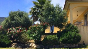 A house with a yellow facade, a stone wall, and a well-maintained garden with various shrubs and a palm tree. - Villa Roccu (Borgo)