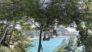 A coastal landscape with dense trees and a clear view of the sea.