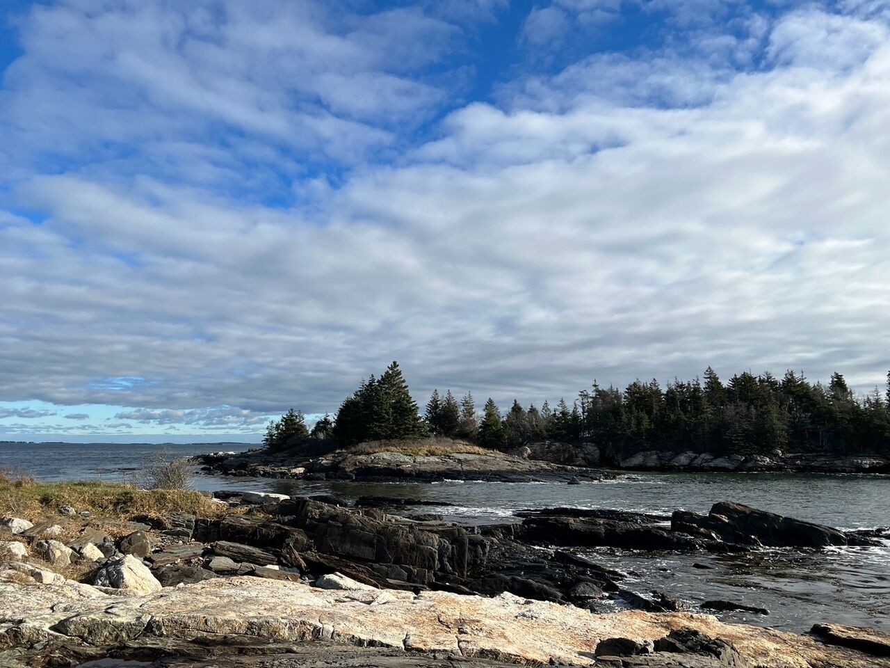 A rocky shoreline with trees and a view of the ocean under a cloudy sky.