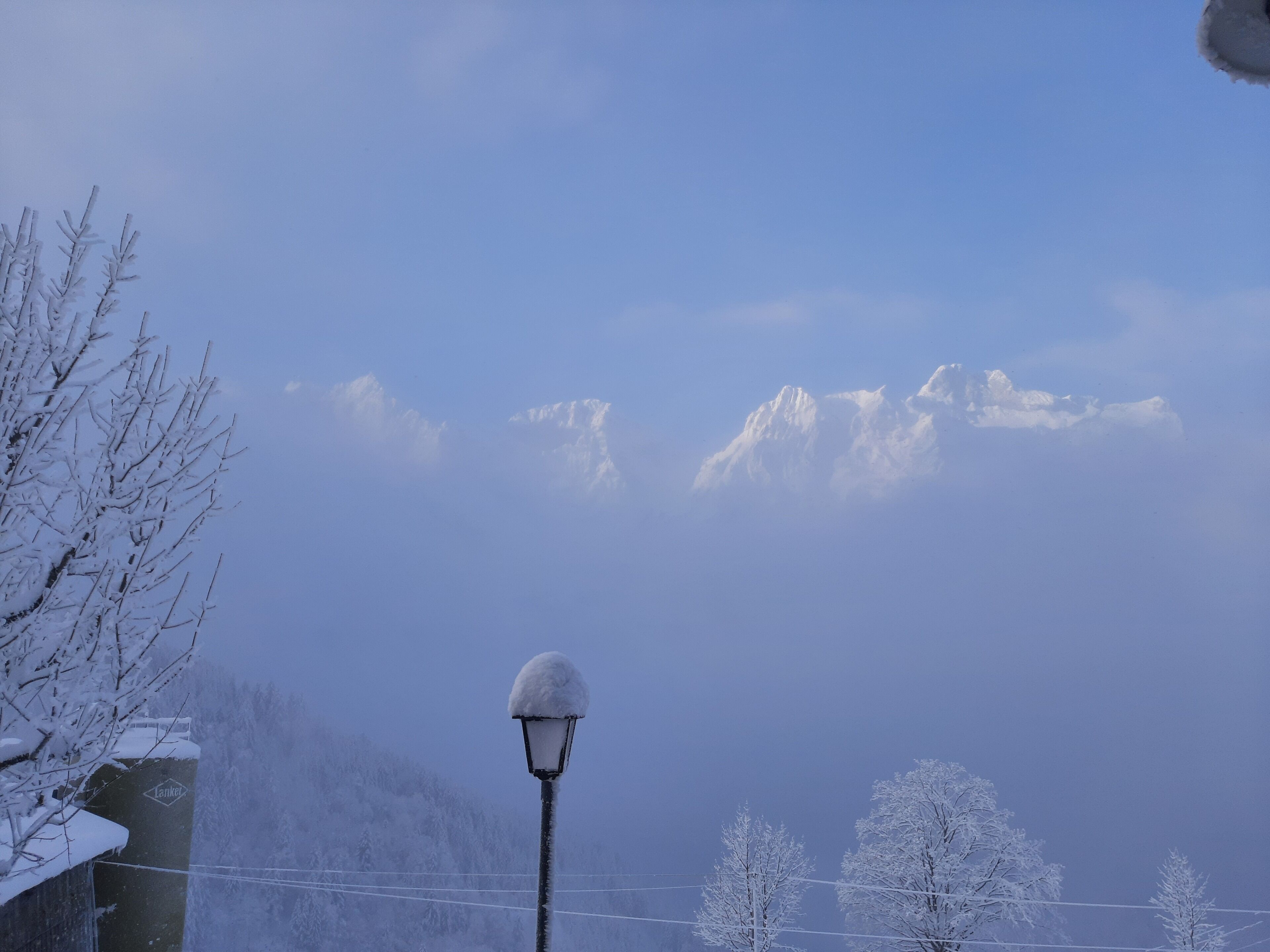 Ein mit Schnee bedeckter Straßenlaterne und kahl stehende Bäume vor einer Bergkulisse.