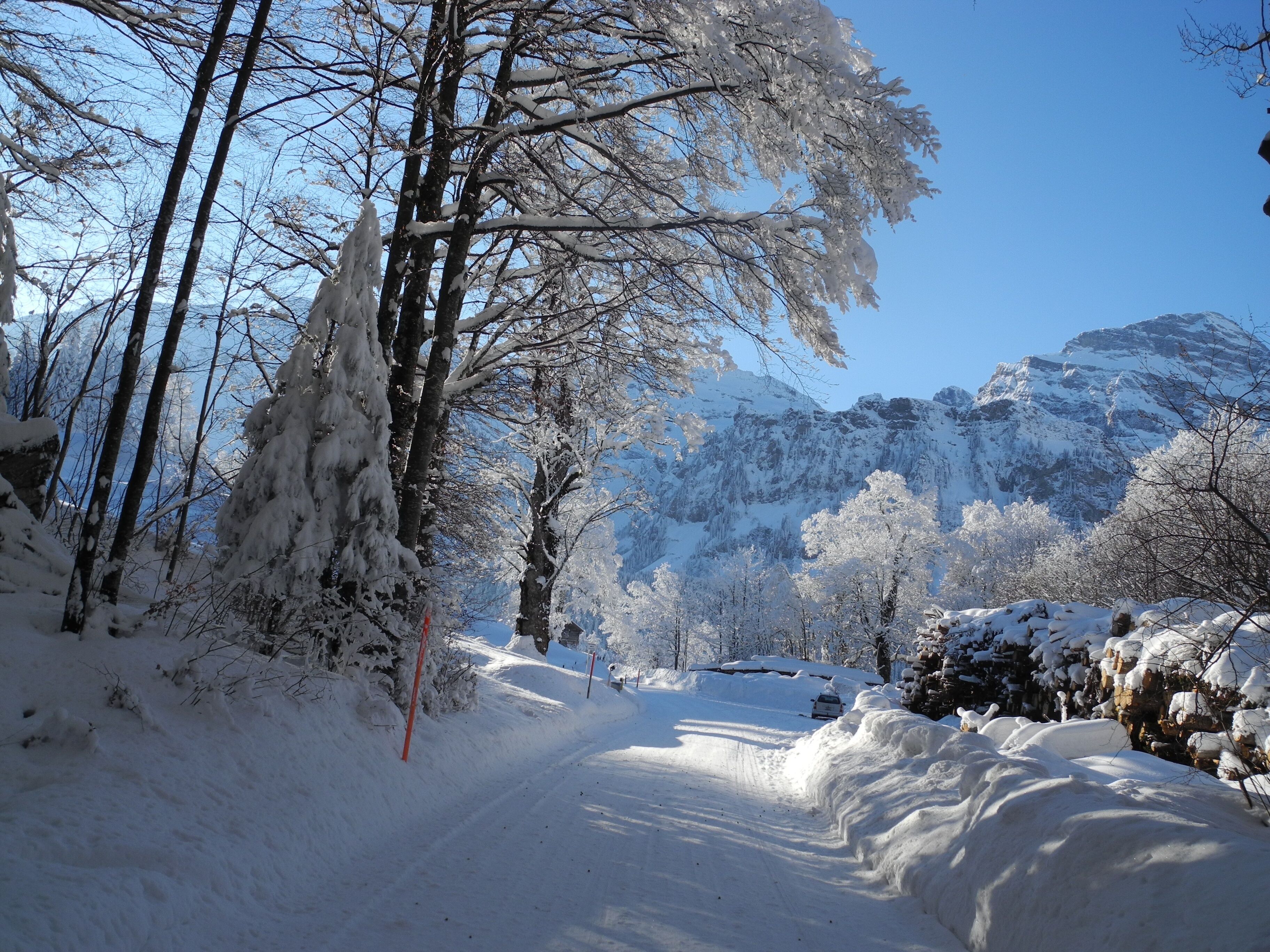 A snow-covered road flanked by trees and mountains.