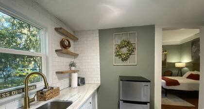 Pet-friendly apartment walking distance to downtown