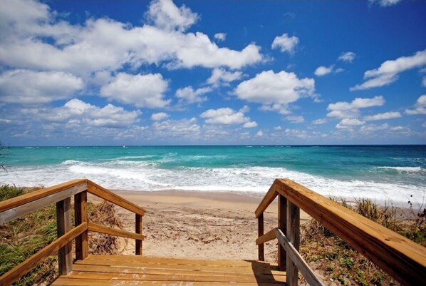 Sun loungers, beach towels