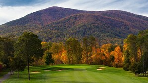 A golf course with a path leading to the tee area, surrounded by trees and a mountain in the background.