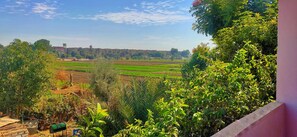 Superior Room, Garden View | Desk, laptop workspace, free WiFi, bed sheets