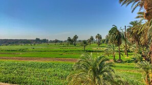 Superior Double Room, Garden View | Terrace/patio