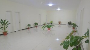 A spacious, well-lit room with white walls and a tiled floor. There are several potted plants placed along the walls, and a ceiling fan is visible. - Sunshine Inn (Luganville)