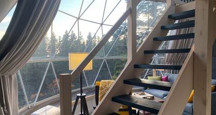 Dome #2 forested at Domaine Renard