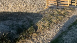 A sandy beach with a wooden bench and a clear blue sky. - L'Odyle - House for 6 people 1 Km from the sea (Fermanville)