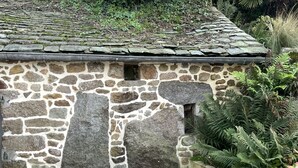 A stone building with a tiled roof, a bench, and a planter with ferns. - L'Odyle - House for 6 people 1 Km from the sea (Fermanville)