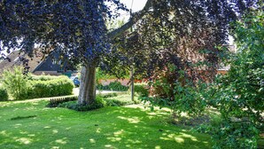 A well-maintained lawn with a large tree providing shade, a brick wall, and a clear view of a residential area in the background.